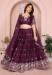 Picture of Fascinating Georgette Brown Lehenga Choli