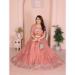 Picture of Well Formed Georgette Dark Salmon Lehenga Choli