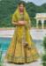 Picture of Lovely Silk Golden Rod Lehenga Choli