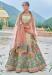 Picture of Alluring Silk Dark Khaki Lehenga Choli