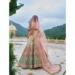 Picture of Alluring Silk Dark Khaki Lehenga Choli