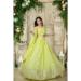 Picture of Georgette & Net Pale Golden Rod Lehenga Choli