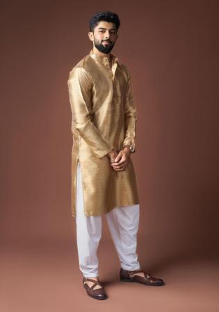 Picture of Classy Silk Tan Kurtas
