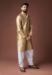 Picture of Classy Silk Tan Kurtas