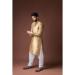 Picture of Classy Silk Tan Kurtas