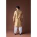 Picture of Classy Silk Tan Kurtas