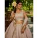 Picture of Lovely Organza Rosy Brown Lehenga Choli