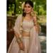 Picture of Lovely Organza Rosy Brown Lehenga Choli