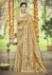 Picture of Sublime Silk Tan Saree