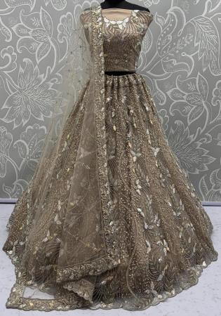 Picture of Fine Net Grey Lehenga Choli