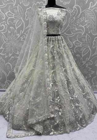 Picture of Beautiful Net Off White Lehenga Choli