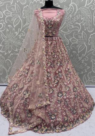 Picture of Excellent Net Tan Lehenga Choli