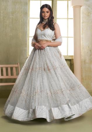 Picture of Graceful Net Silver Lehenga Choli