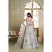 Picture of Graceful Net Silver Lehenga Choli