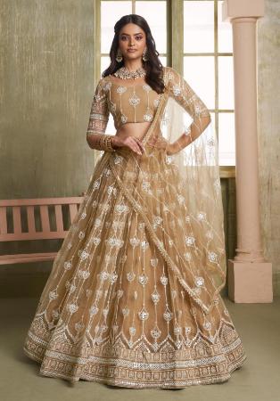 Picture of Enticing Net Bisque Lehenga Choli