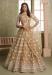 Picture of Enticing Net Bisque Lehenga Choli