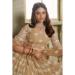 Picture of Enticing Net Bisque Lehenga Choli