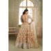 Picture of Enticing Net Bisque Lehenga Choli