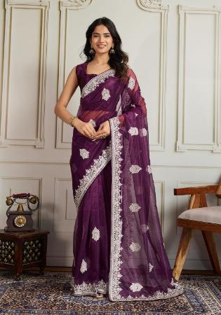 Picture of Exquisite Net Brown Saree