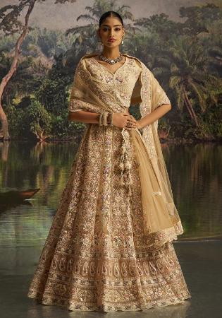 Picture of Marvelous Net Dark Khaki Lehenga Choli