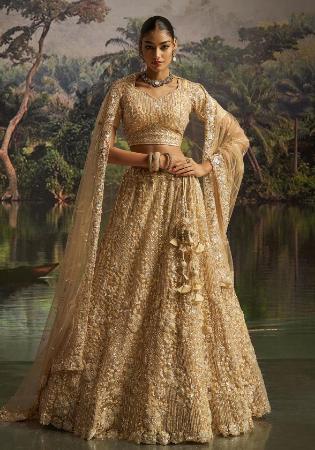 Picture of Ideal Net Dark Khaki Lehenga Choli