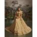Picture of Ideal Net Dark Khaki Lehenga Choli