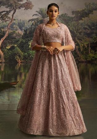 Picture of Radiant Net Rosy Brown Lehenga Choli