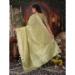 Picture of Taking Organza Dark Khaki Saree