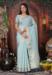 Picture of Splendid Organza Light Blue Saree