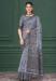 Picture of Resplendent Silk Slate Grey Saree