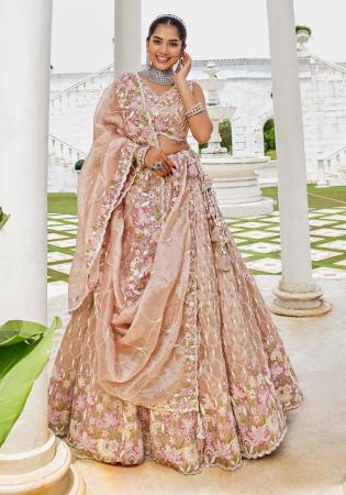 Picture of Amazing Satin & Silk Tan Lehenga Choli