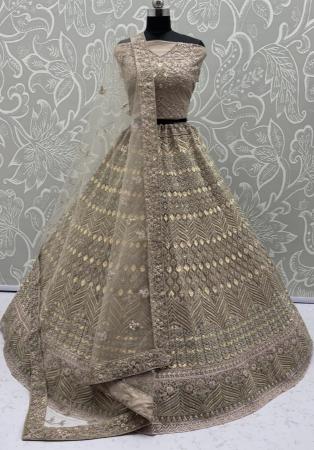 Picture of Beauteous Net Bisque Lehenga Choli