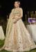 Picture of Marvelous Satin & Silk Tan Readymade Lehenga Choli
