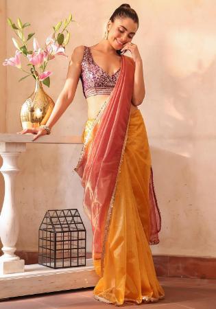 Picture of Stunning Chiffon & Organza Dark Salmon Saree