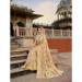 Picture of Alluring Chiffon Tan Saree