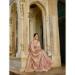 Picture of Sightly Chiffon Rosy Brown Saree