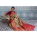 Picture of Fascinating Silk Tan Saree