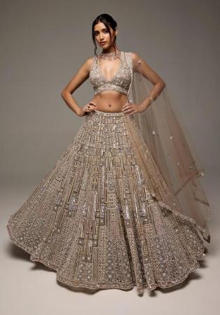Picture of Lovely Net & Silk Grey Lehenga Choli
