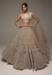 Picture of Lovely Net & Silk Grey Lehenga Choli