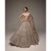 Picture of Lovely Net & Silk Grey Lehenga Choli