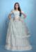 Picture of Radiant Net Deep Sky Blue Lehenga Choli