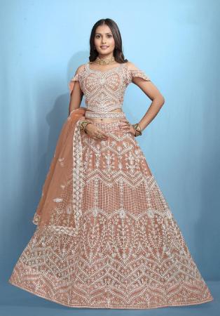 Picture of Appealing Net Silver Lehenga Choli