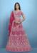 Picture of Splendid Net Fire Brick Lehenga Choli