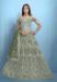 Picture of Good Looking Net Dark Olive Green Lehenga Choli