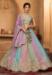 Picture of Exquisite Organza Grey Lehenga Choli