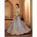 Picture of Exquisite Organza Grey Lehenga Choli