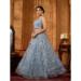 Picture of Graceful Organza Dim Gray Lehenga Choli
