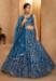 Picture of Shapely Organza Teal Lehenga Choli