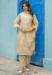 Picture of Fine Silk Tan Readymade Salwar Kameez