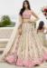 Picture of Ideal Chiffon Light Pink Lehenga Choli